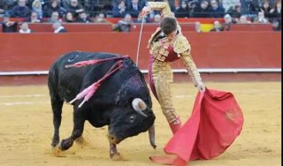 关于驴式下注的演变，你知道吗？